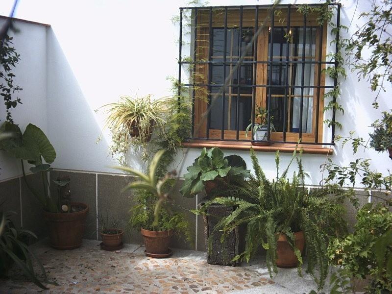 Casa Rural La Brena Talavan ภายนอก รูปภาพ